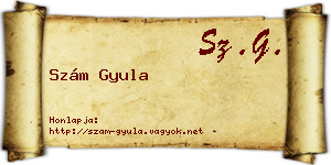 Szám Gyula névjegykártya